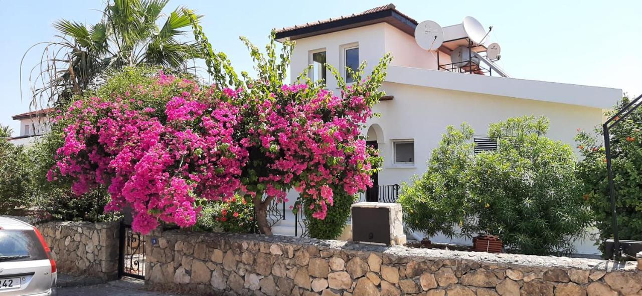 Villa Bougainvillea With Privite Pool Vasilia ภายนอก รูปภาพ
