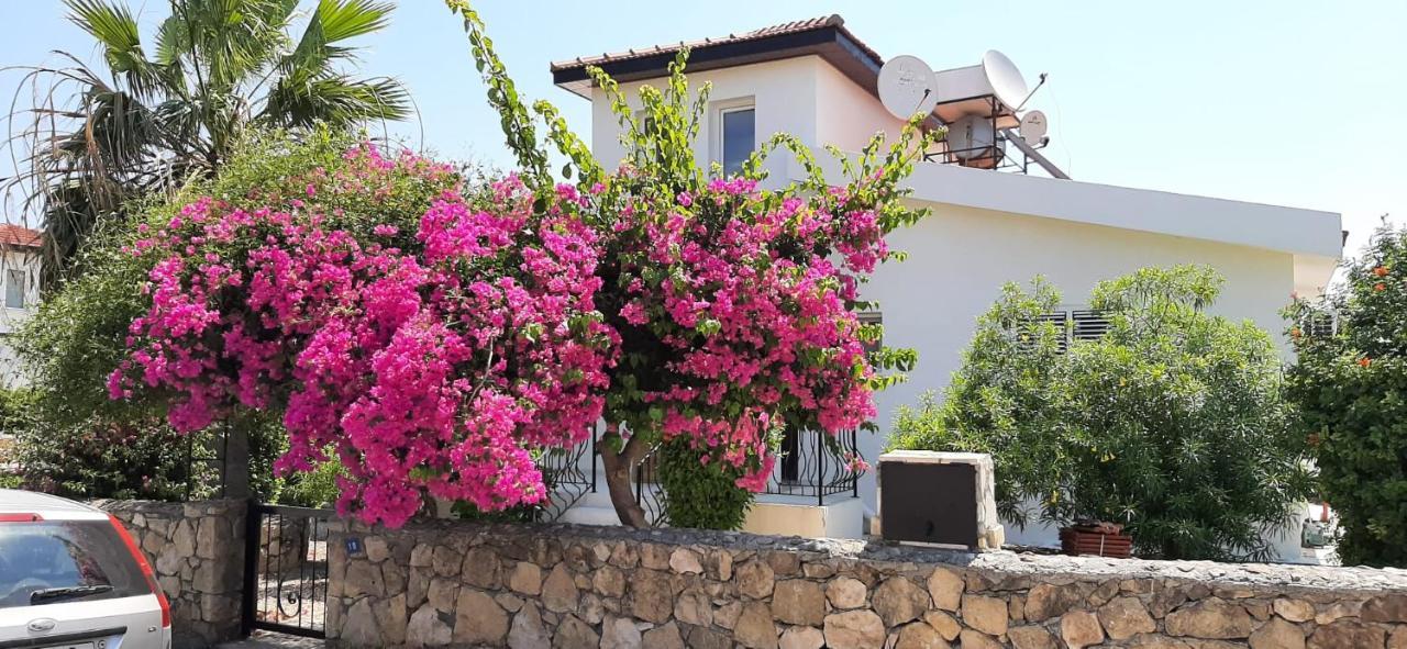 Villa Bougainvillea With Privite Pool Vasilia ภายนอก รูปภาพ