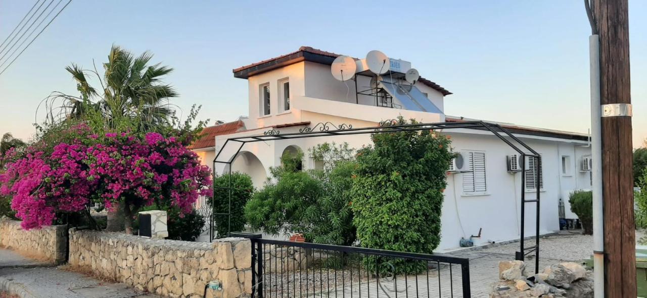 Villa Bougainvillea With Privite Pool Vasilia ภายนอก รูปภาพ